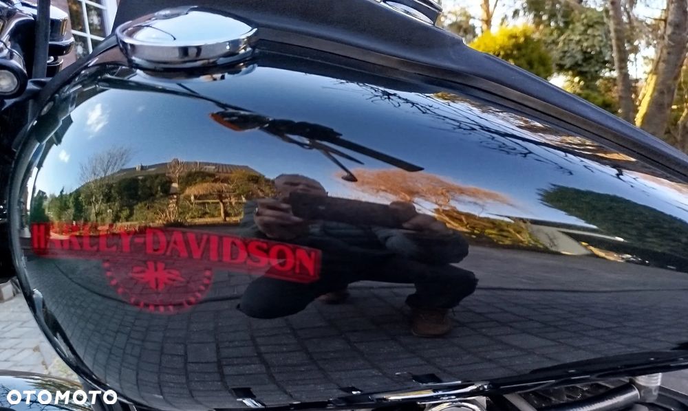 Harley-Davidson Dyna Street Bob - 18