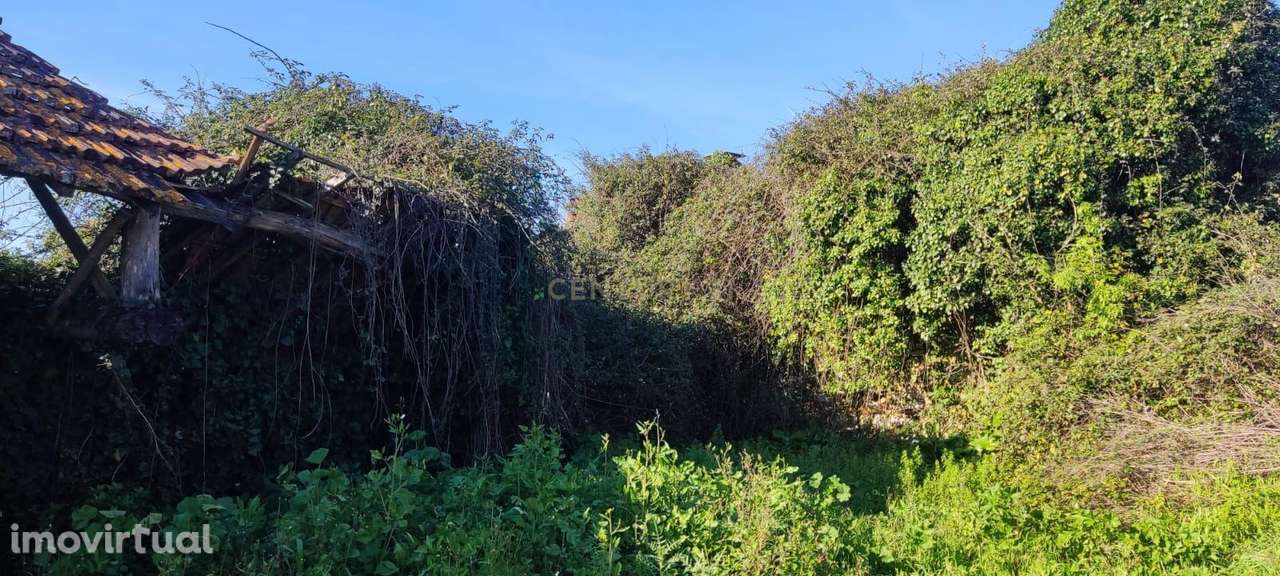 Terreno, 120 m², Mealhada, Ventosa do Bairro e Antes - Grande imagem: 4/6