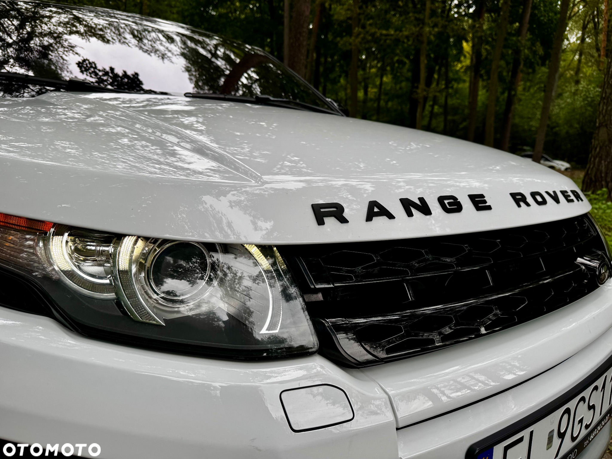 Land Rover Range Rover Evoque 2.0Si4 SE Dynamic - 31