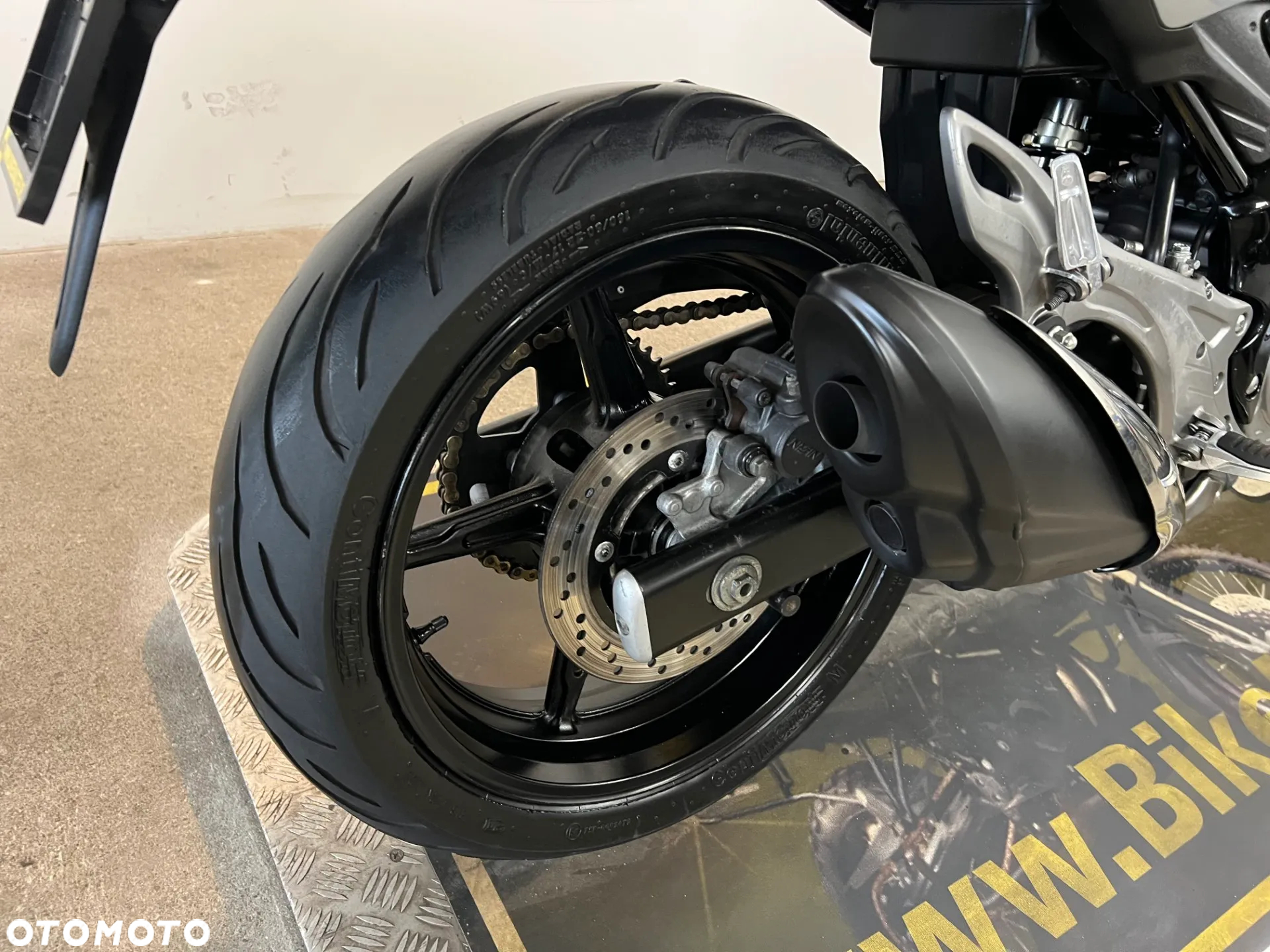 Suzuki Gladius - 17