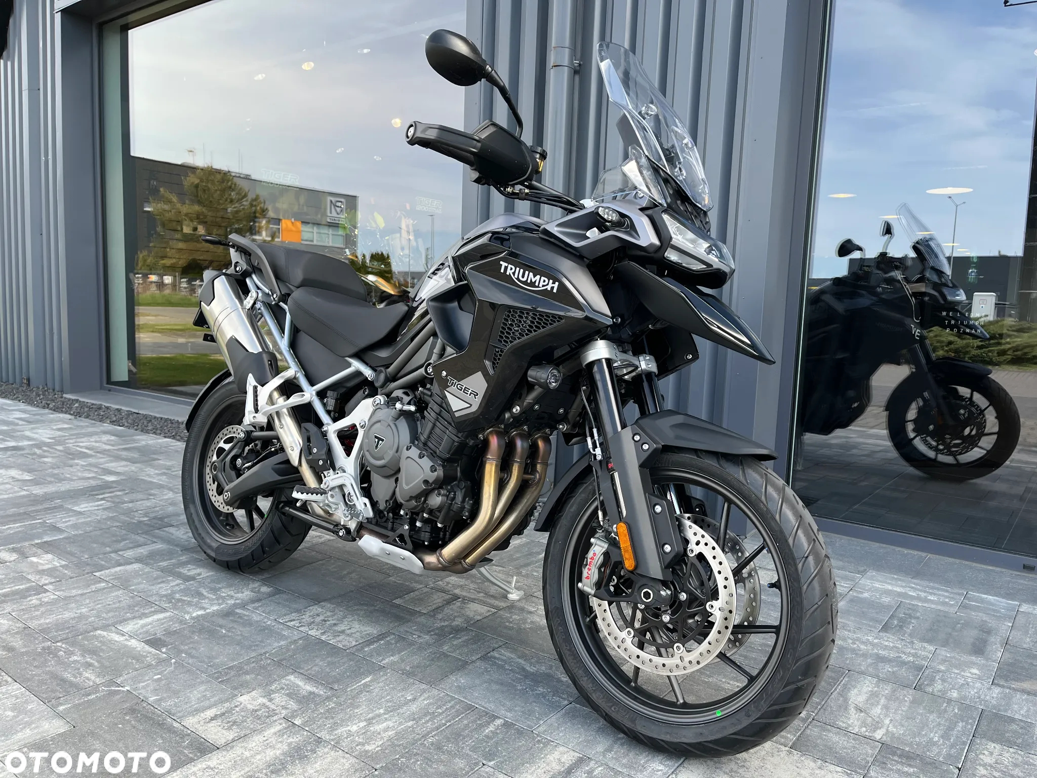 Triumph Tiger