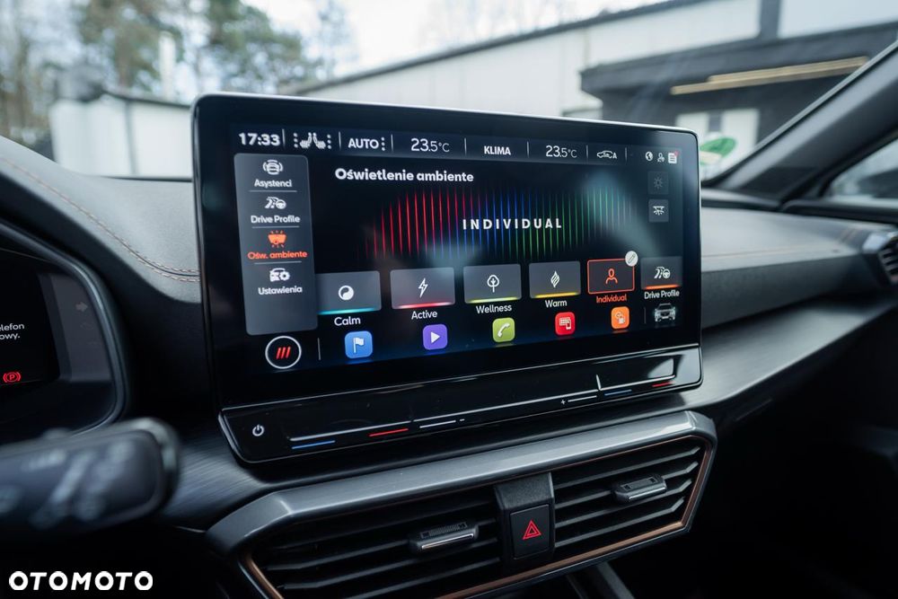 Cupra Formentor 2.0 TSI 4Drive VZ DSG - 17