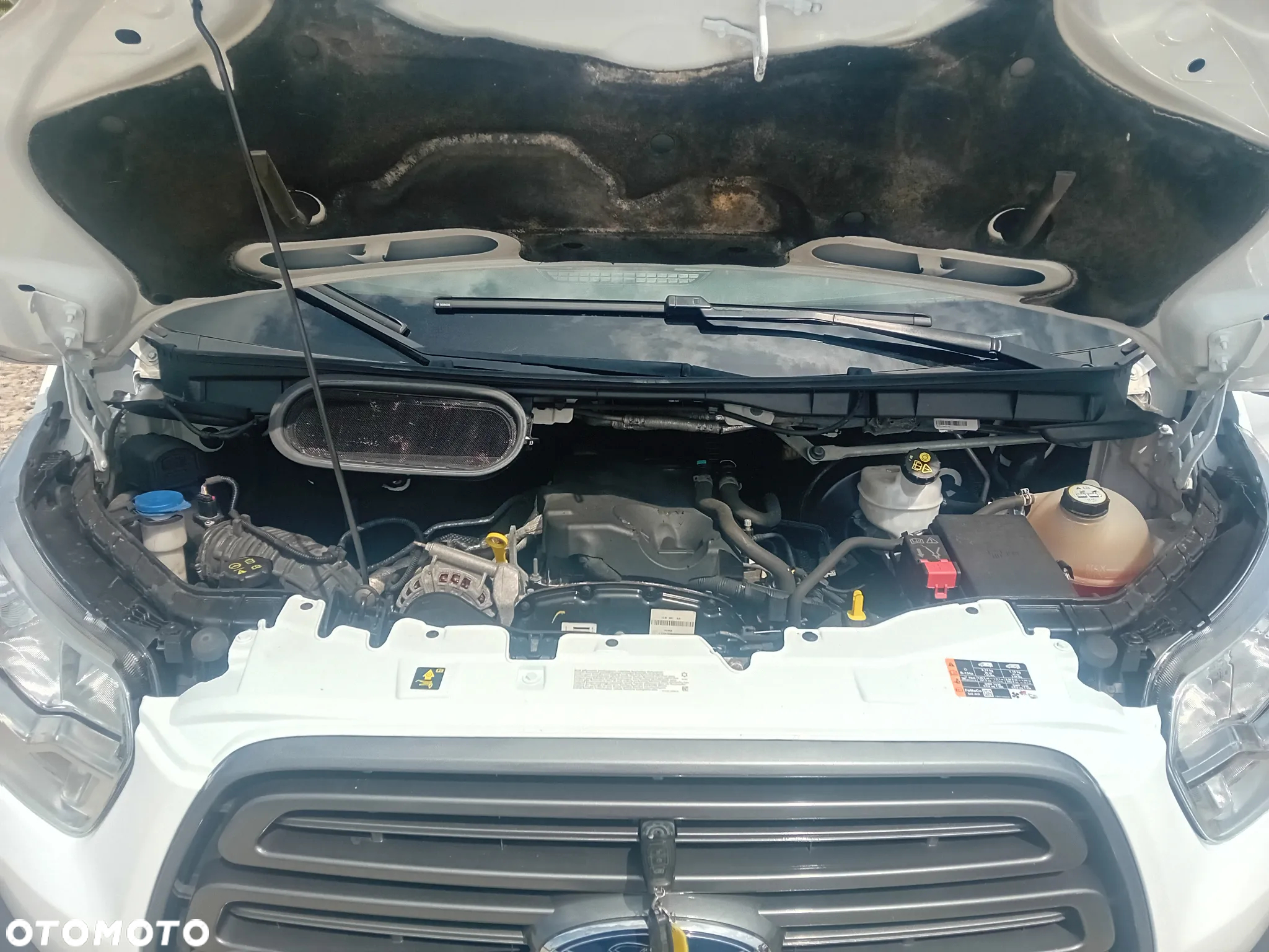 Ford Transit - 29