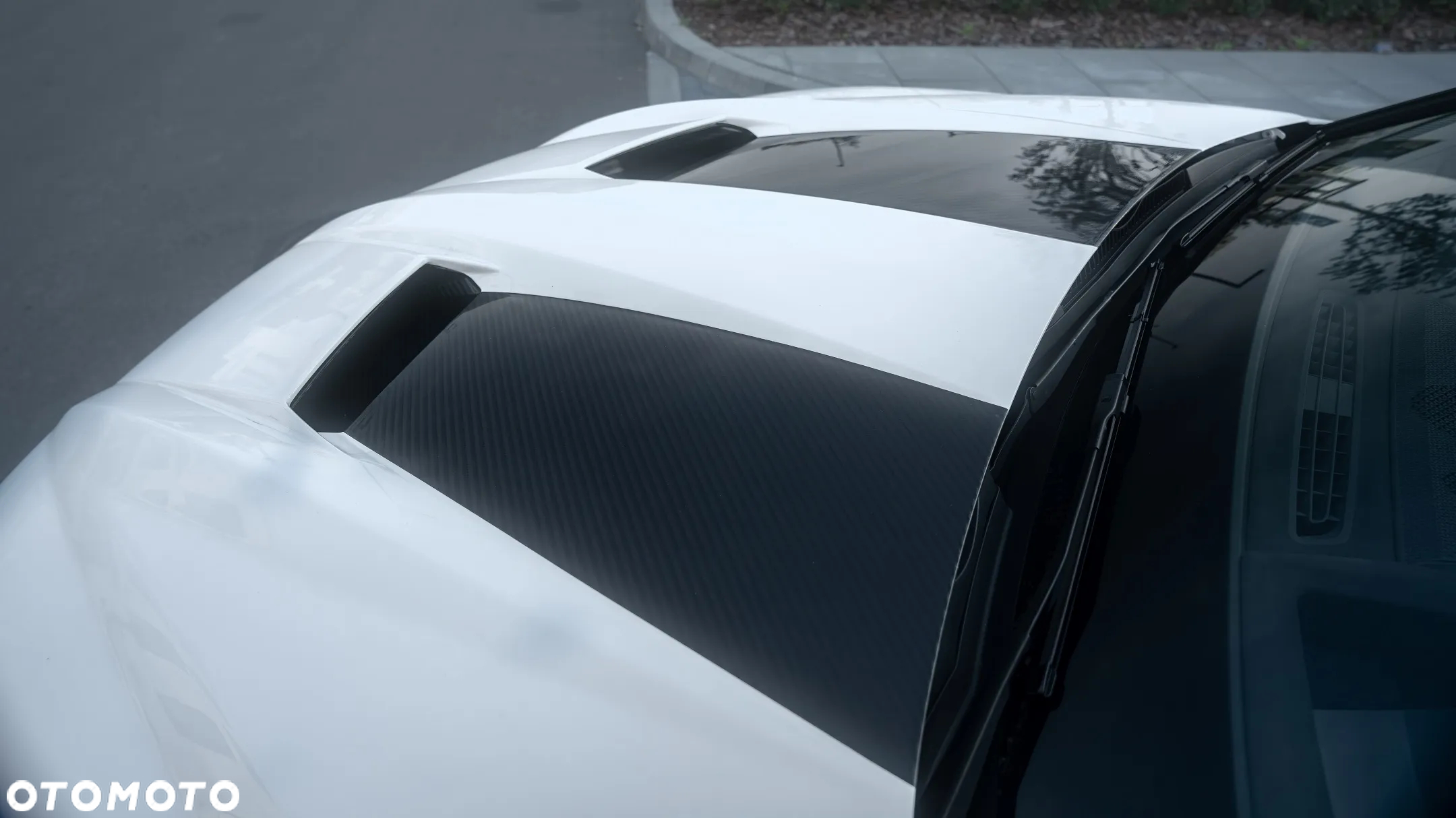 Lamborghini Urus Standard - 9