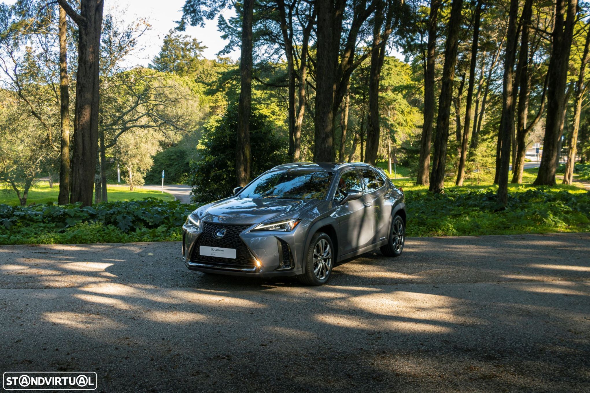 Lexus UX 250h F Sport - 1