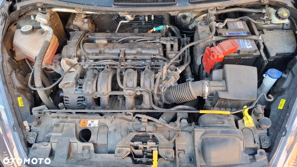 Ford Fiesta - 13