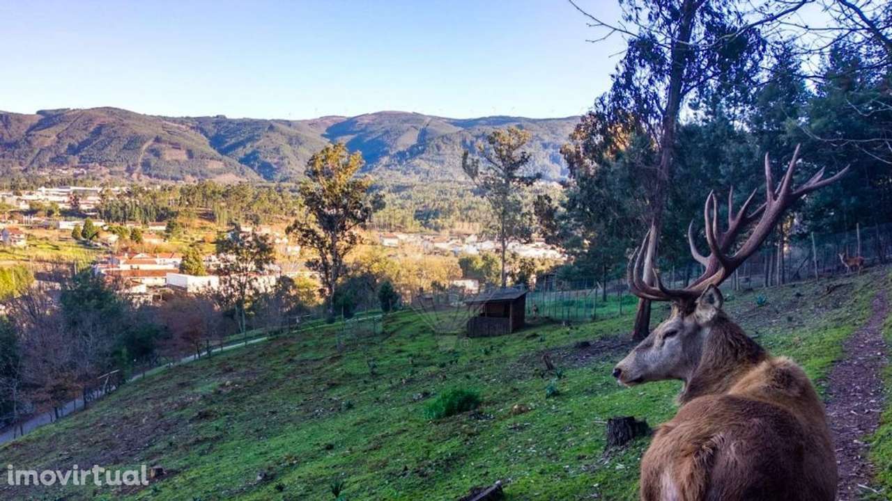 Terreno  para venda - Grande imagem: 3/4