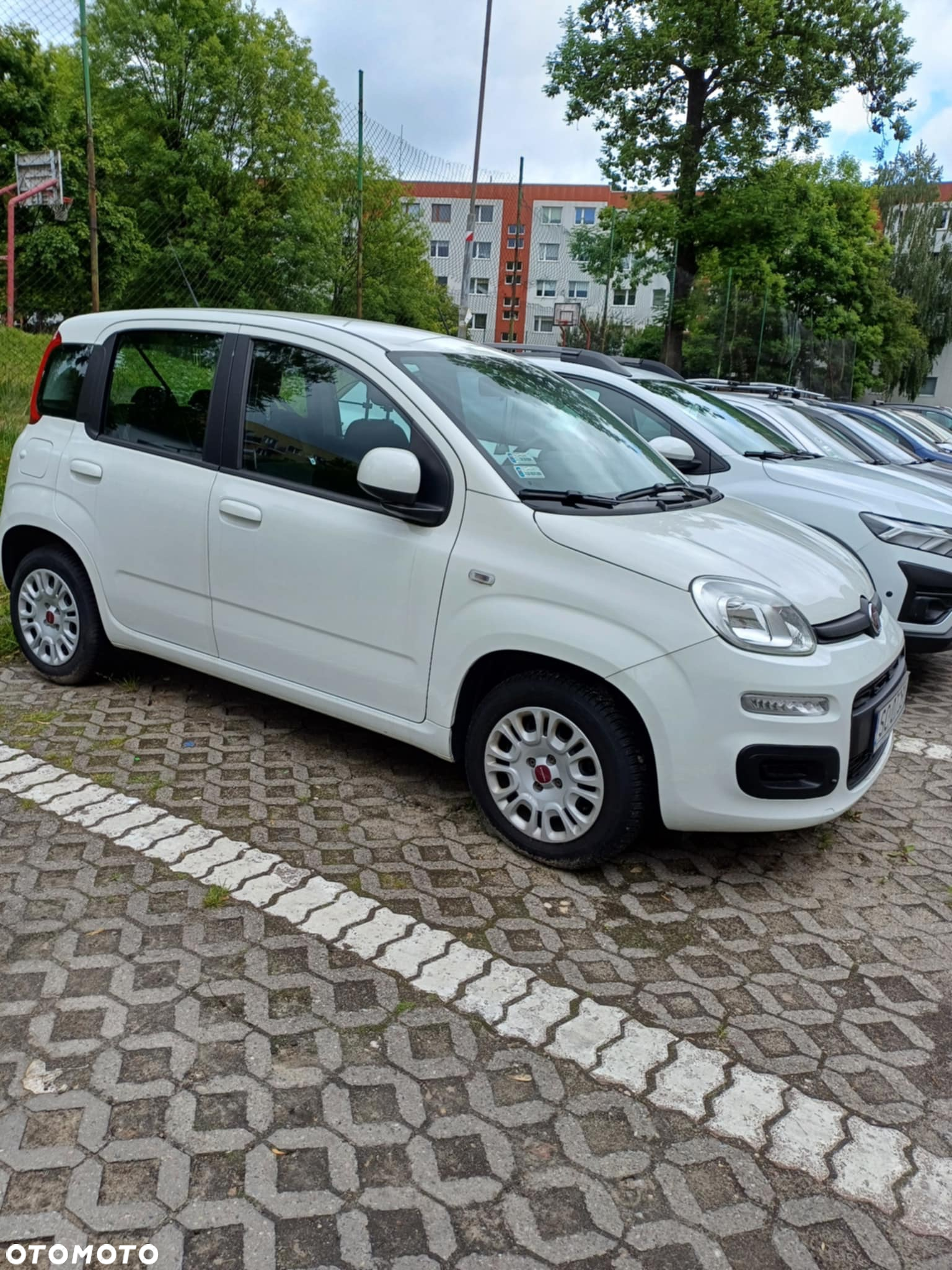 Fiat Panda 1.2 Lounge - 3