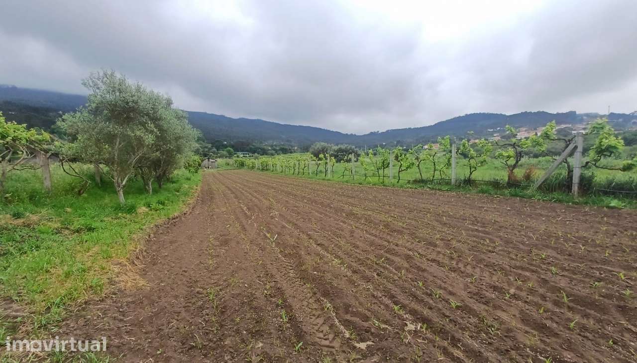 Terreno para venda, Âncora, Caminha - Grande imagem: 5/13