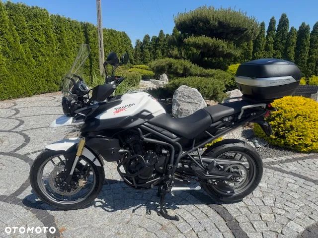 Triumph Tiger - 1