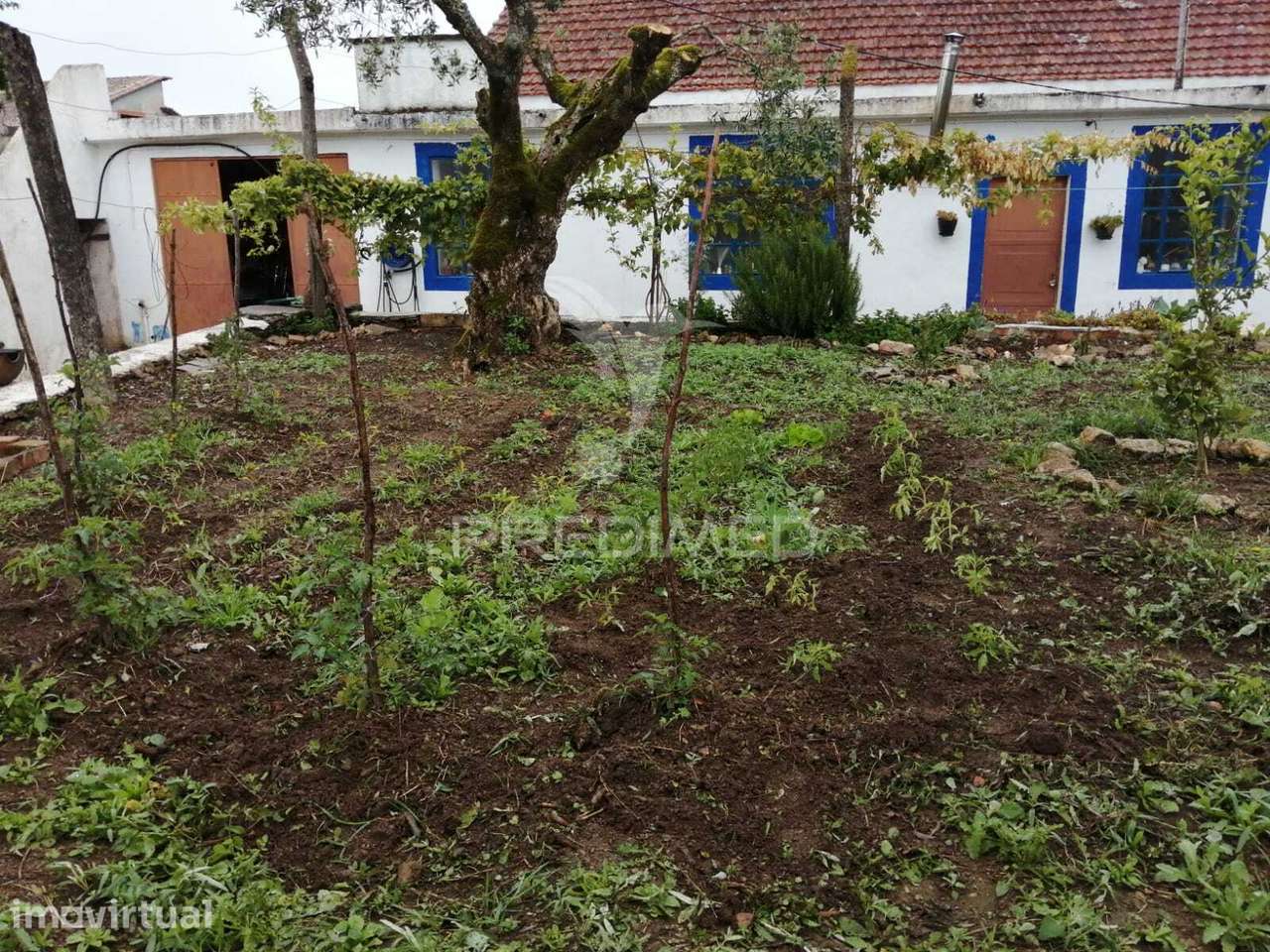 Casa campo em Ferreira do Zêzere - Grande imagem: 3/19