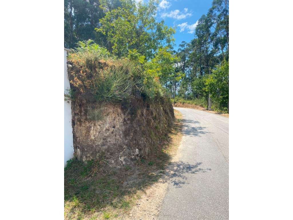 Terreno para construção - Ganfei, Valença - Grande imagem: 5/8