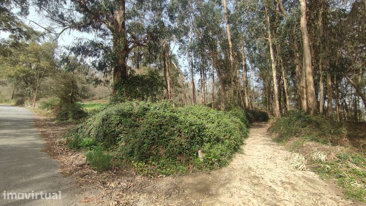Terreno em Turiz, Vila Verde - Grande imagem: 3/17