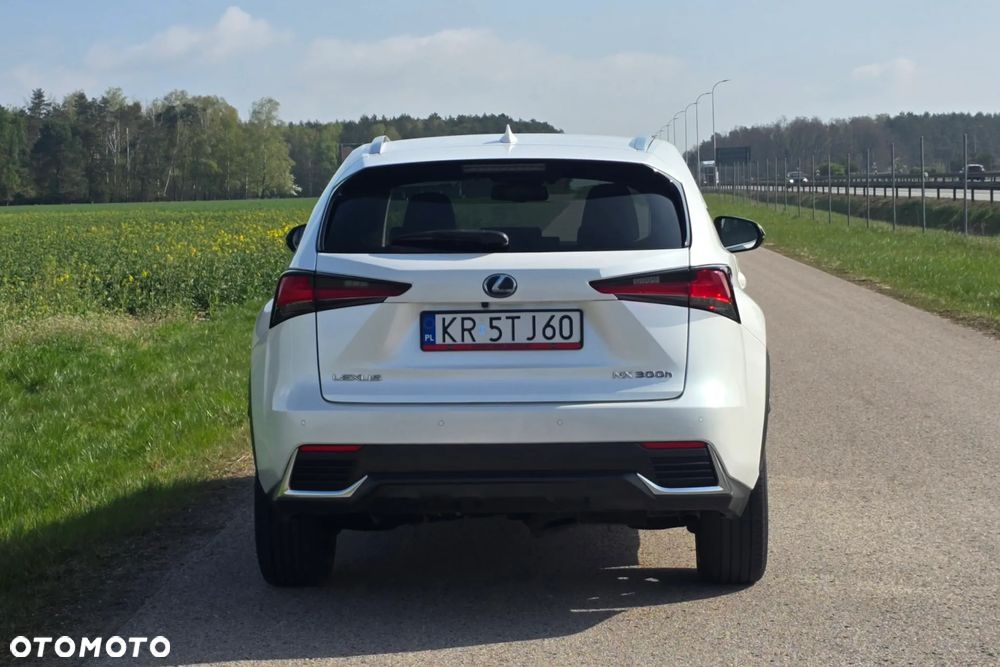 Lexus NX 300h F Impression AWD - 8