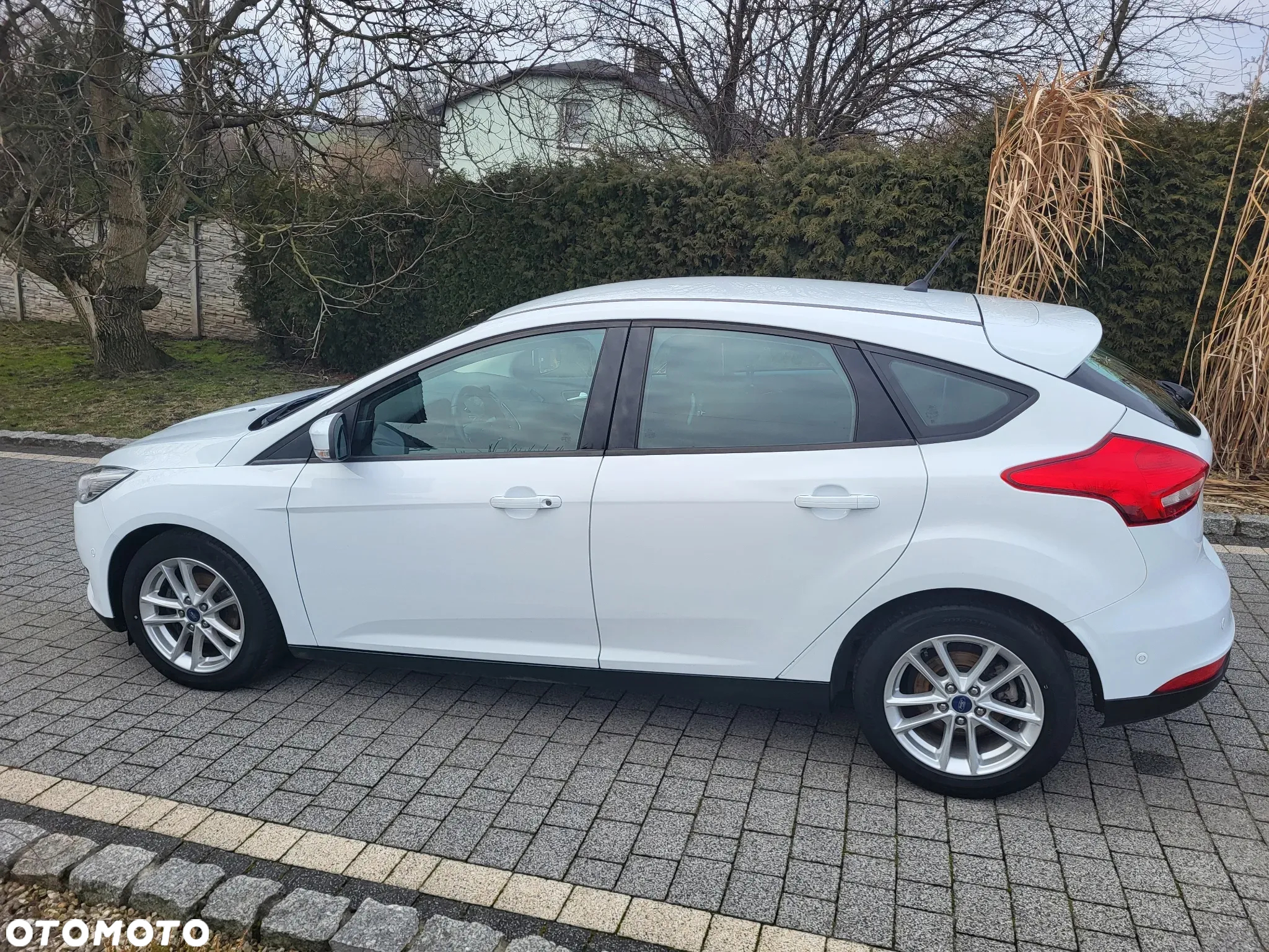 Ford Focus 1.0 EcoBoost Titanium ASS - 13