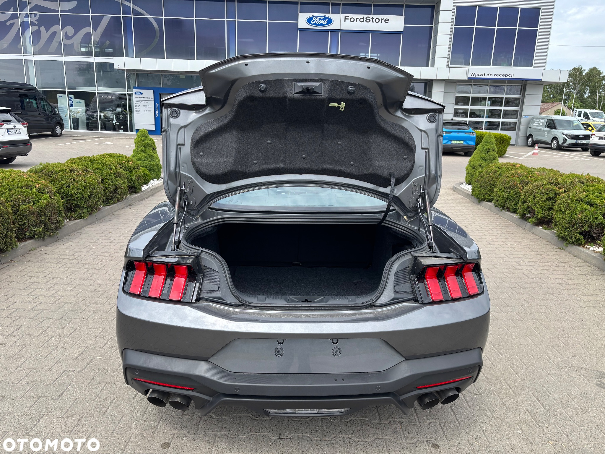 Ford Mustang 5.0 V8 GT - 5