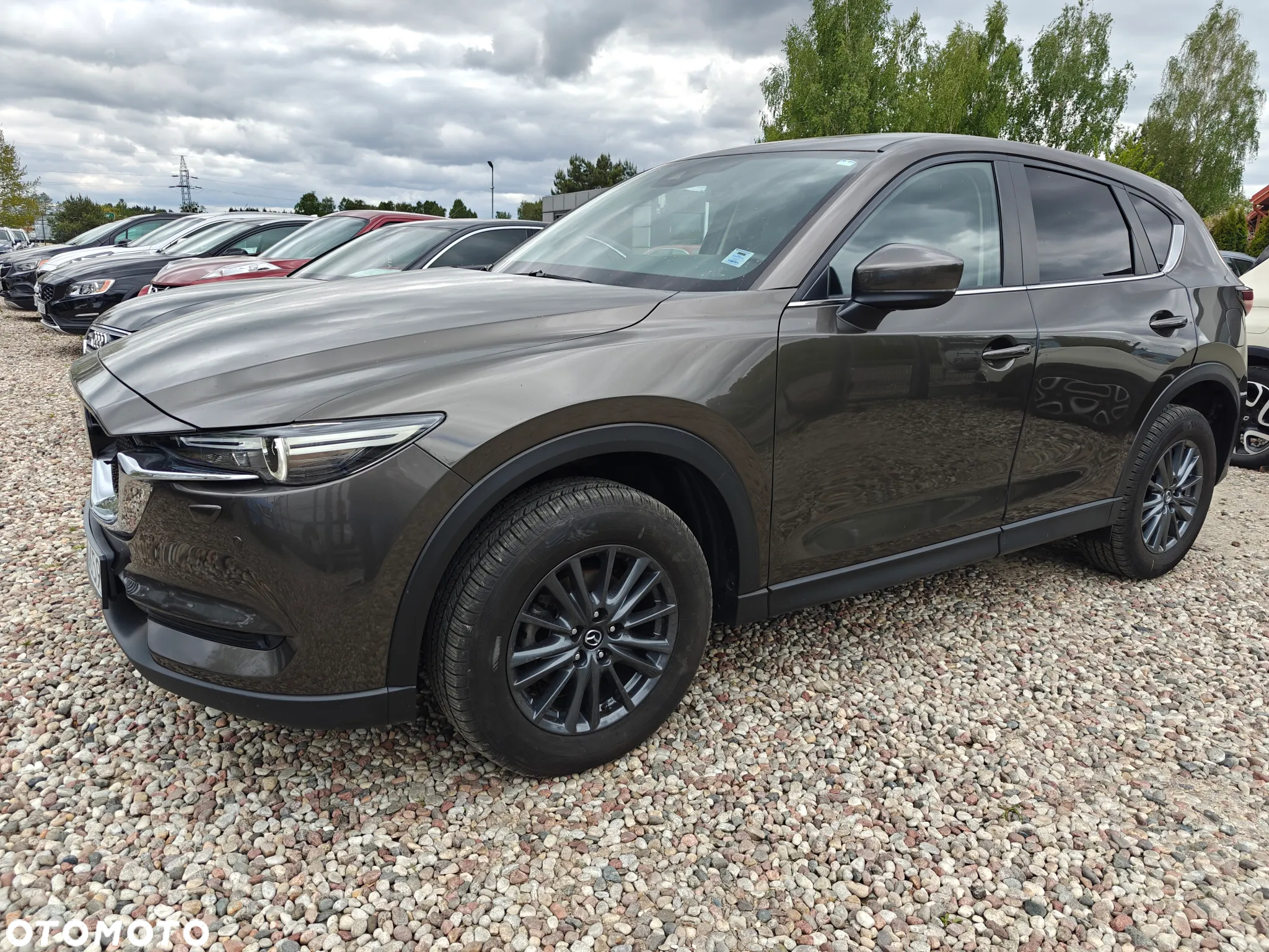 Mazda CX-5 2.5 Skymotion 2WD - 3