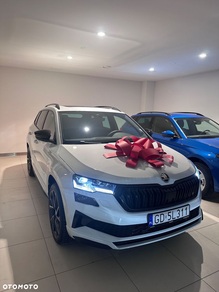 Skoda Karoq - 1