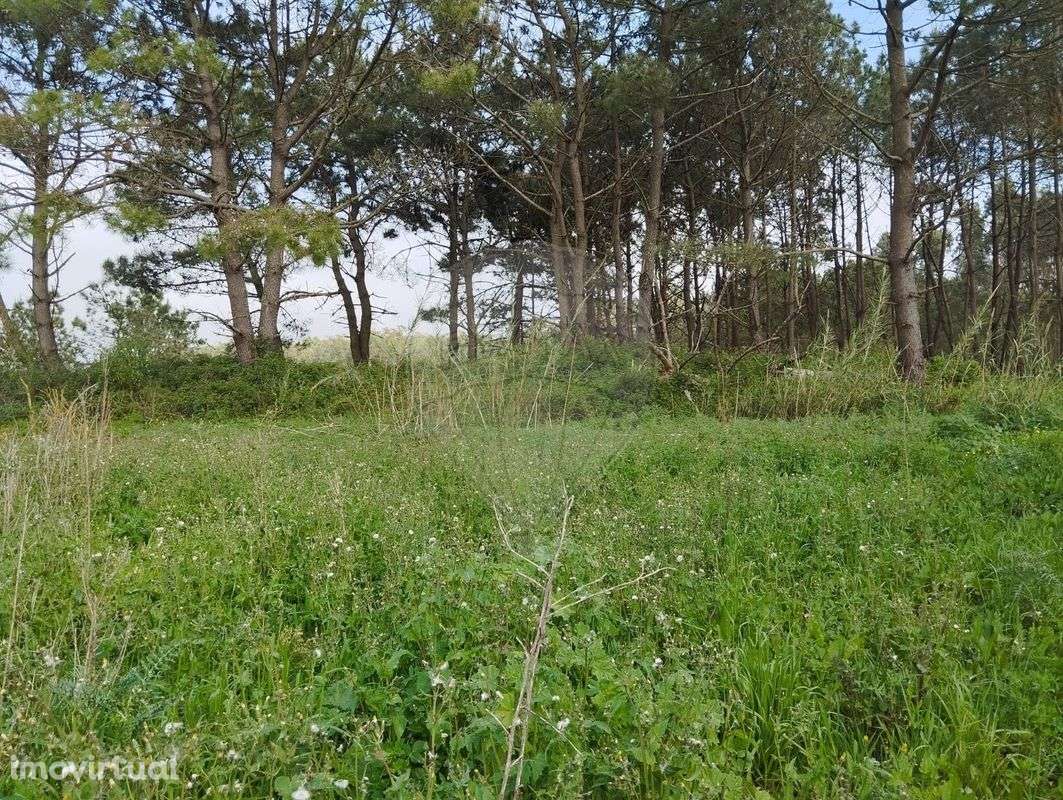 Moradia T2 para venda - Grande imagem: 3/9