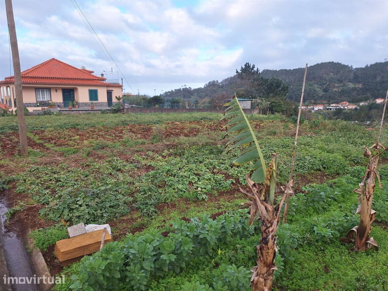 Madeira | Terreno com Potencial Extraordinário e Vista Mar - Grande imagem: 2/11