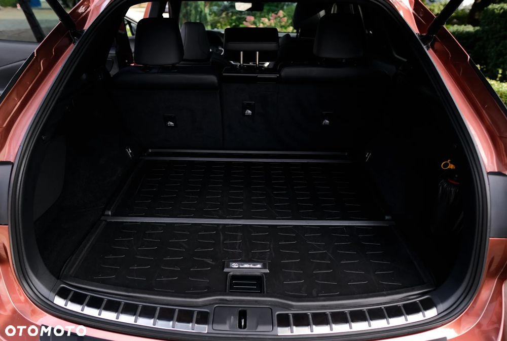 Lexus RX - 28