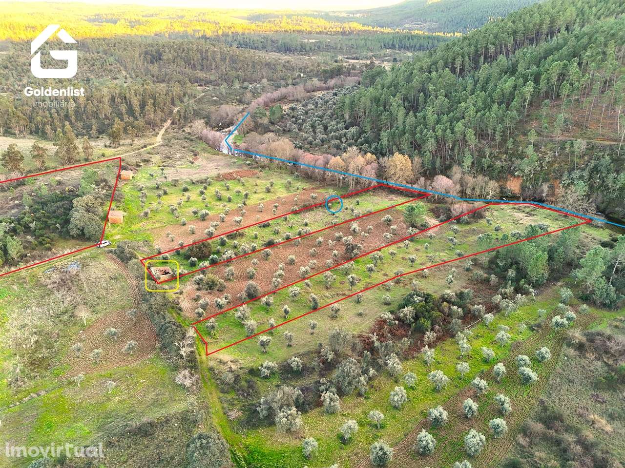 Quintinha  Venda em Freixial e Juncal do Campo,Castelo Branco - Grande imagem: 3/27