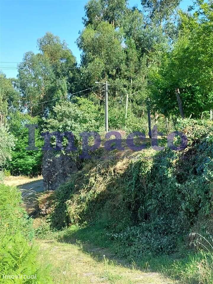 Moradia para Restaurar T1, Vale de Cambra - Grande imagem: 5/6