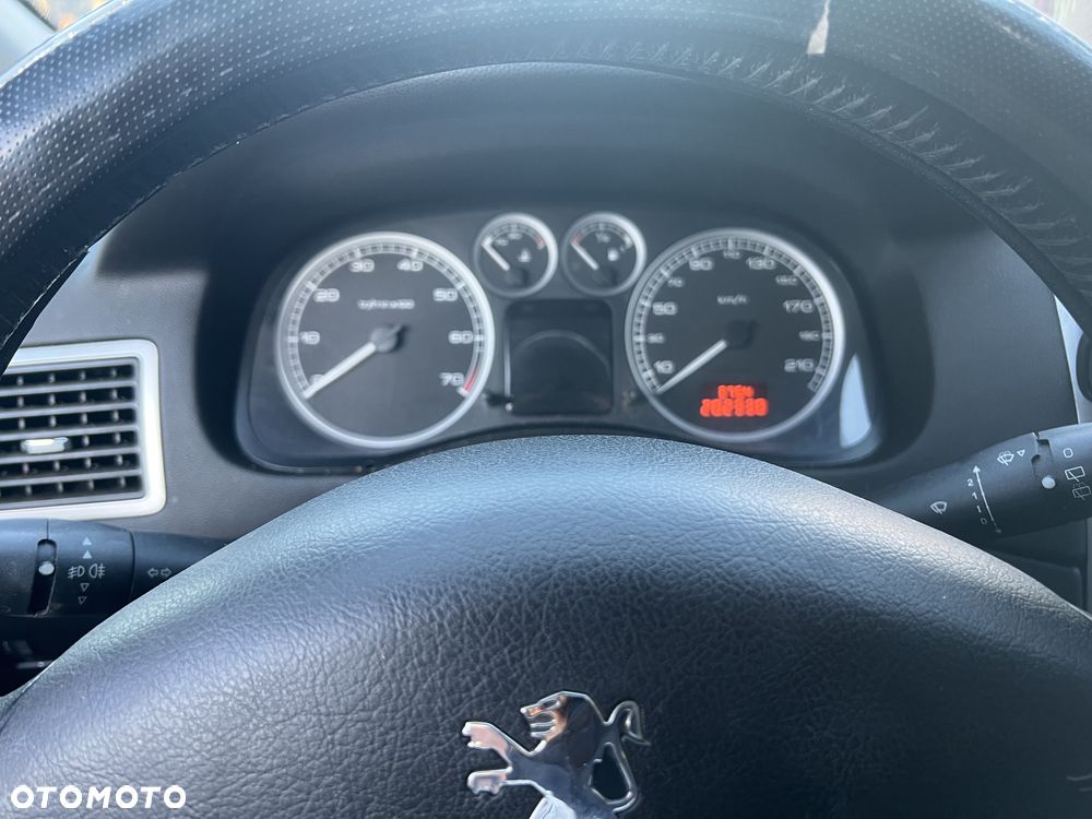 Peugeot 307 1.6 Premium Class - 9