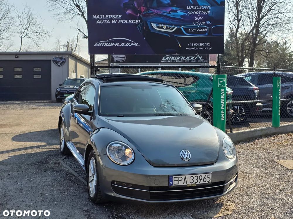 Volkswagen Beetle - 3