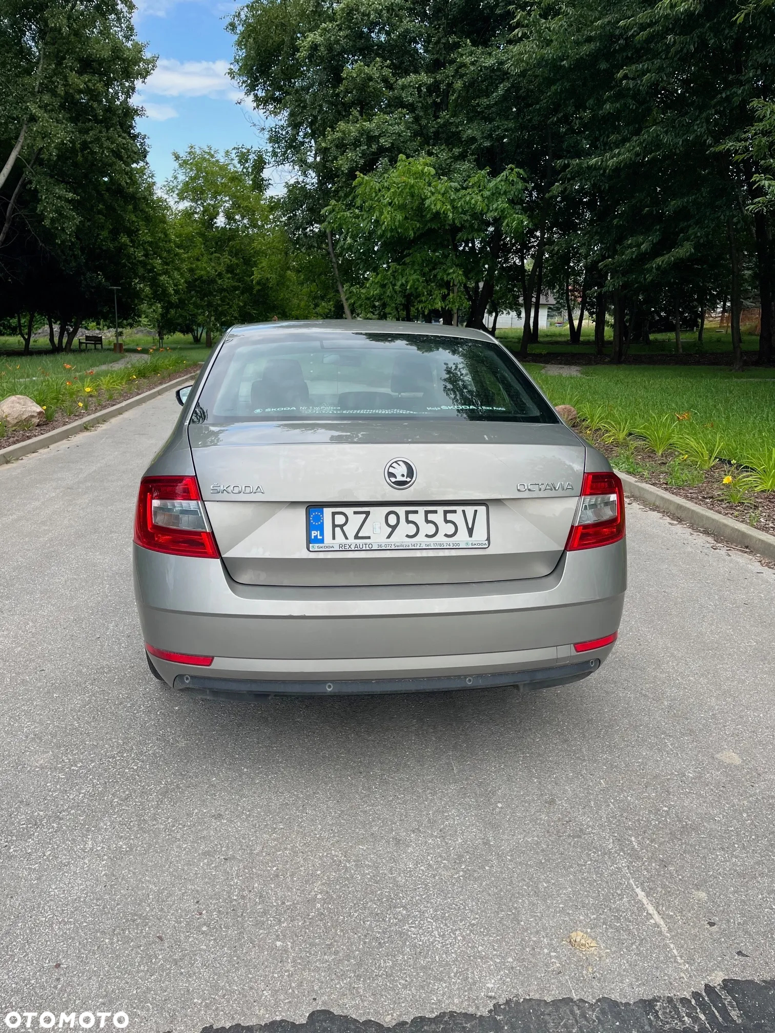 Skoda Octavia 1.6 TDI Ambition - 4