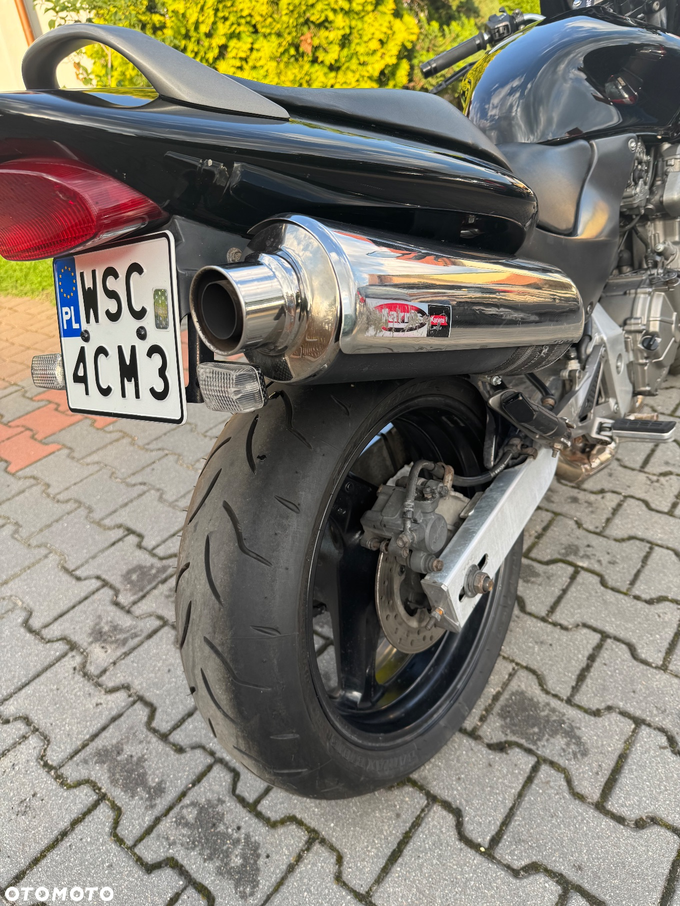 Honda Hornet - 10