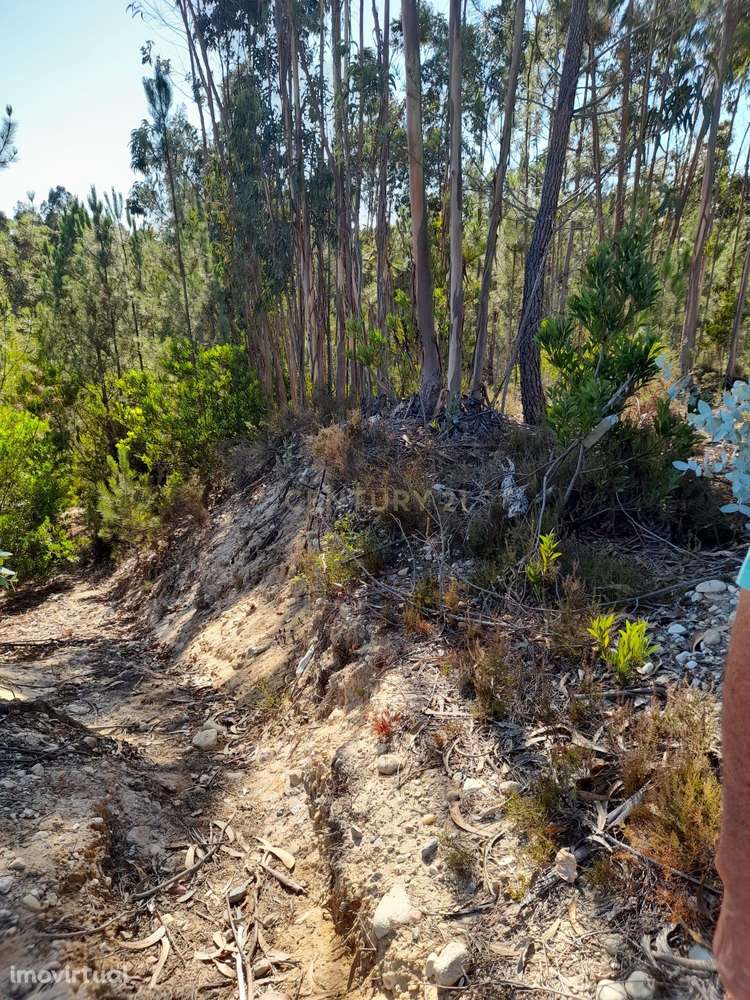 Terreno para venda Zona Industrial Barosa em Leiria - Grande imagem: 2/4