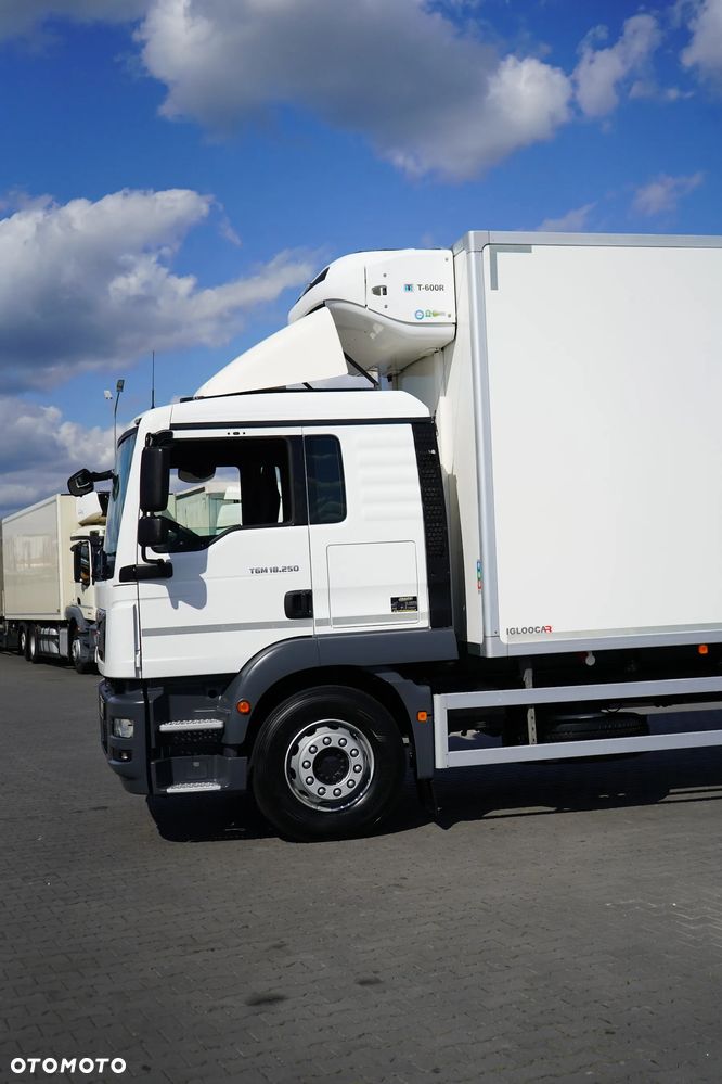 MAN / TGM / 18.250 / EURO 6 / CHŁODNIA + WINDA / ŁAD. 9 010 KG / 19 PALET - 25