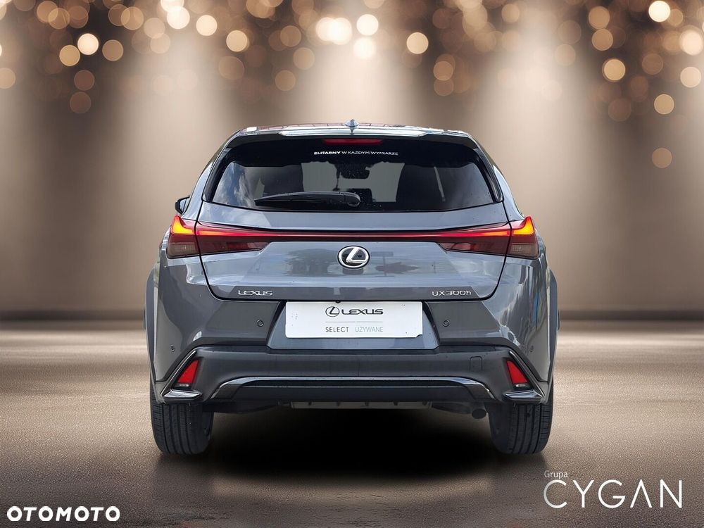 Lexus UX 300h F Sport - 6