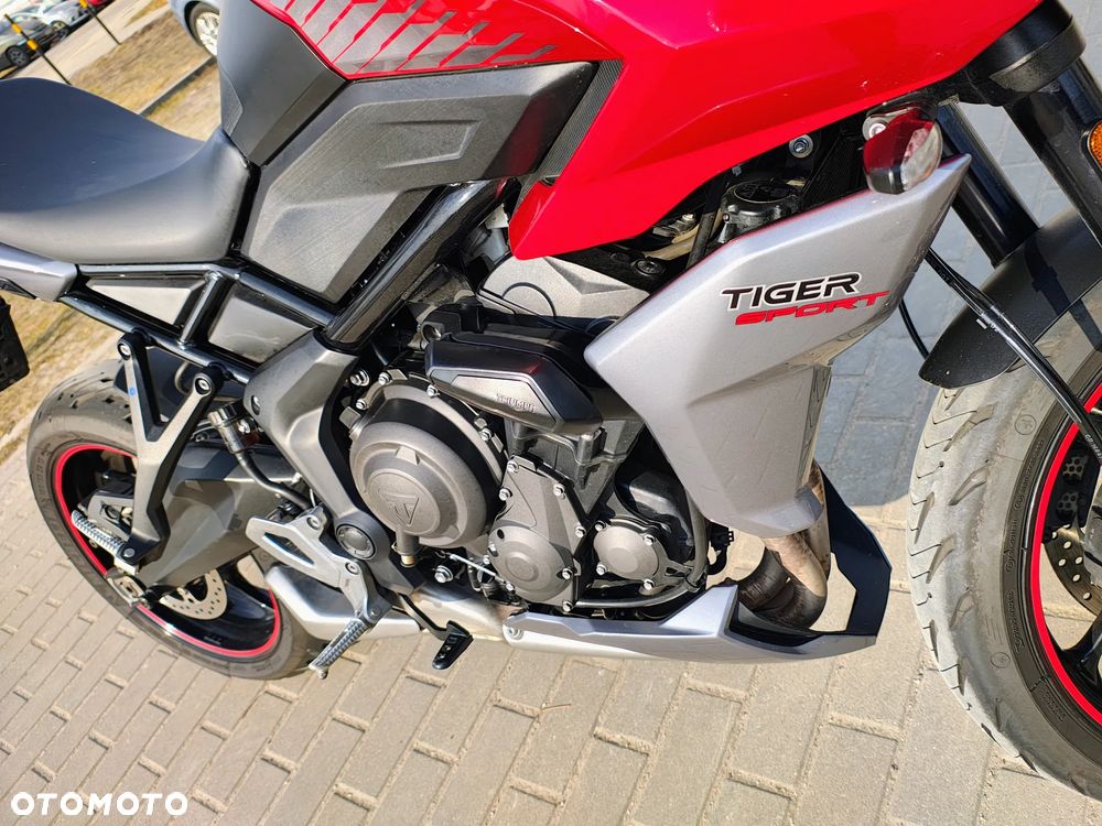 Triumph Tiger - 16