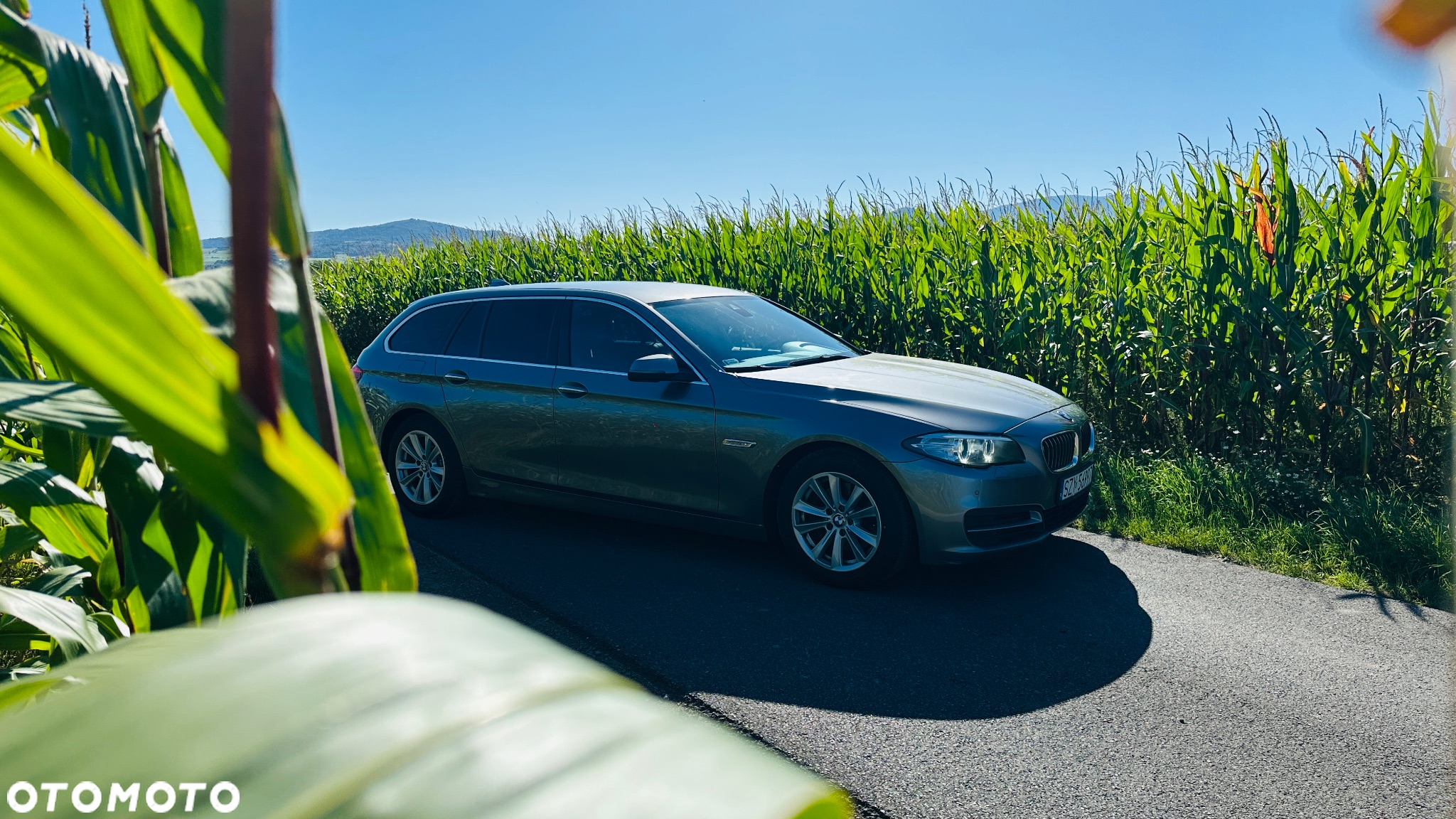 BMW Seria 5 520d xDrive Luxury Line - 5