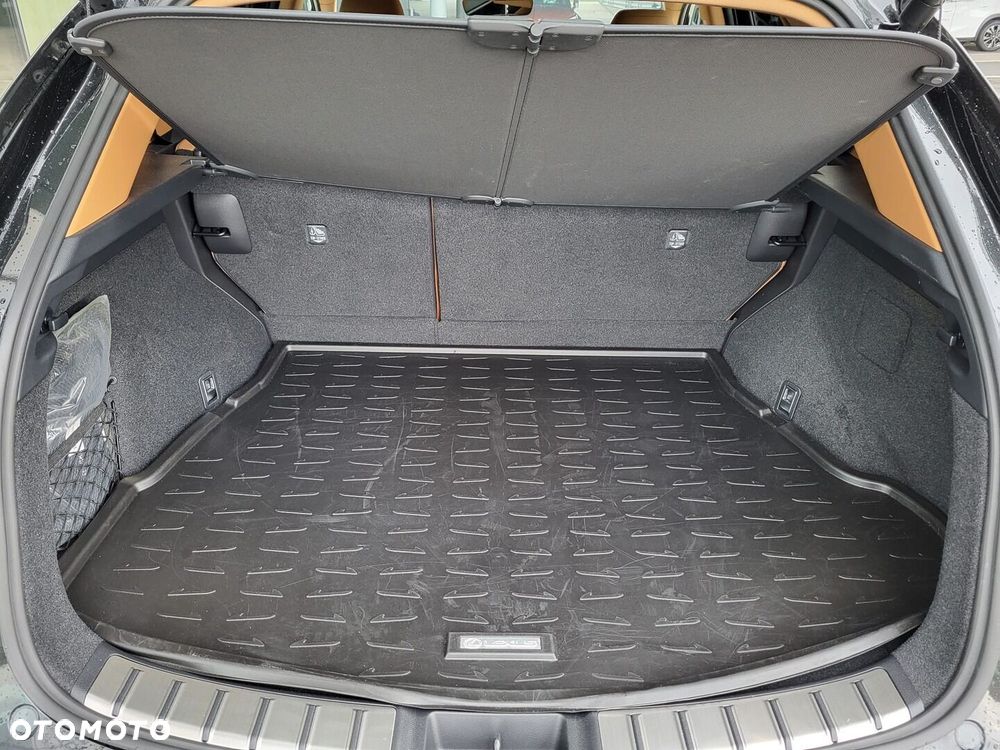 Lexus NX - 38