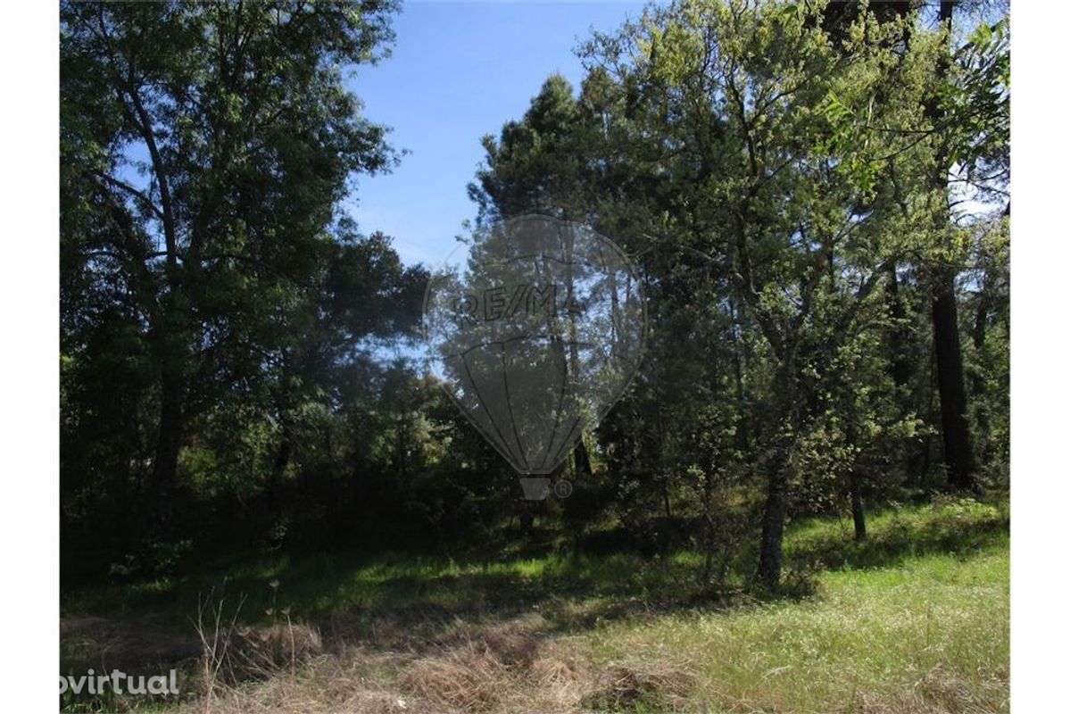 Quinta T0 para venda - Grande imagem: 4/9