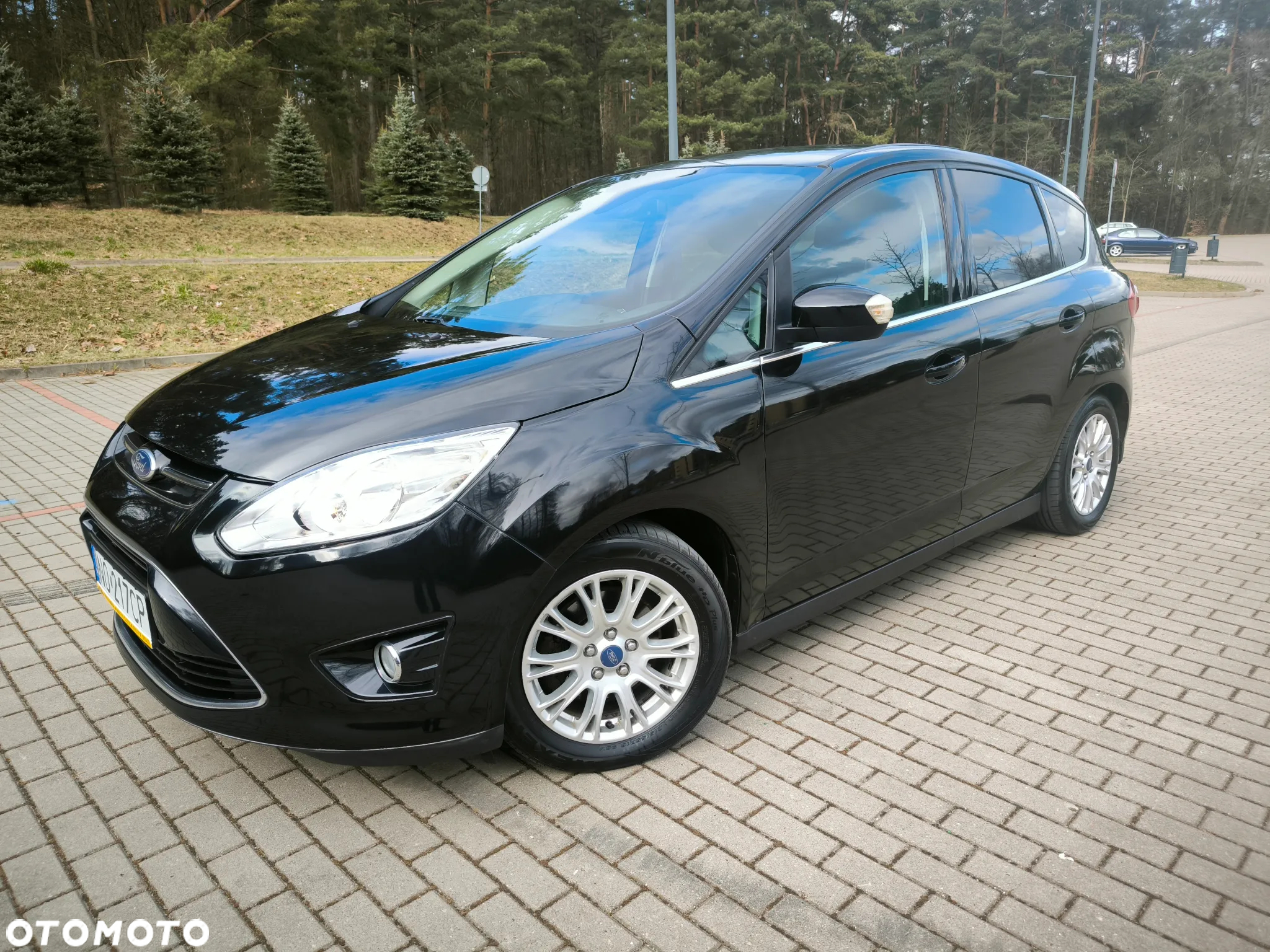 Ford C-MAX 2.0 TDCi Titanium - 2