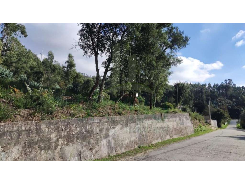 Terreno para venda - Grande imagem: 2/8