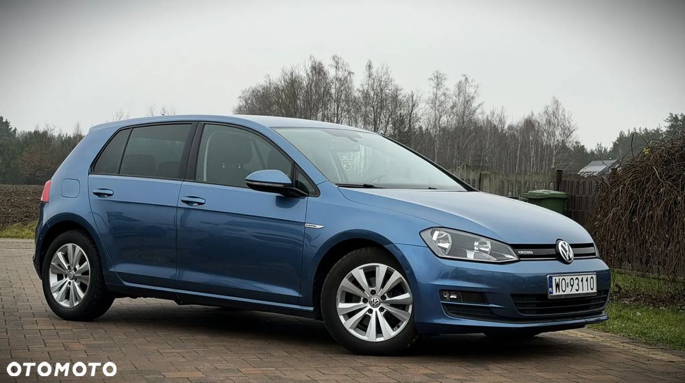 Volkswagen Golf 1.6 TDI BlueMotion Technology Cup - 14