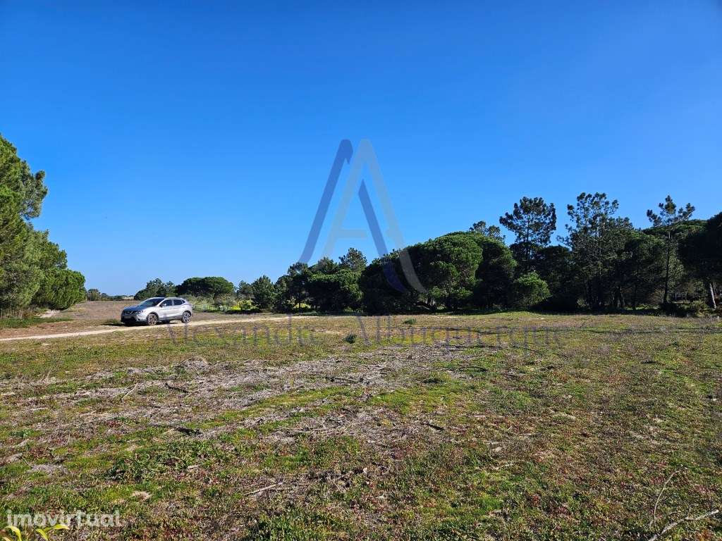 Terreno Rústico à Venda - 824 m² | Próximo das Praias do Meco - Grande imagem: 4/4