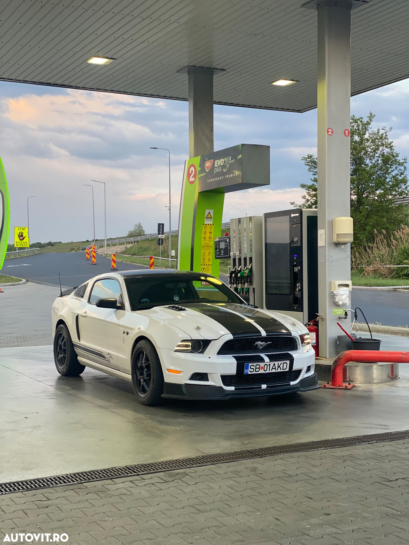 Ford Mustang - 3