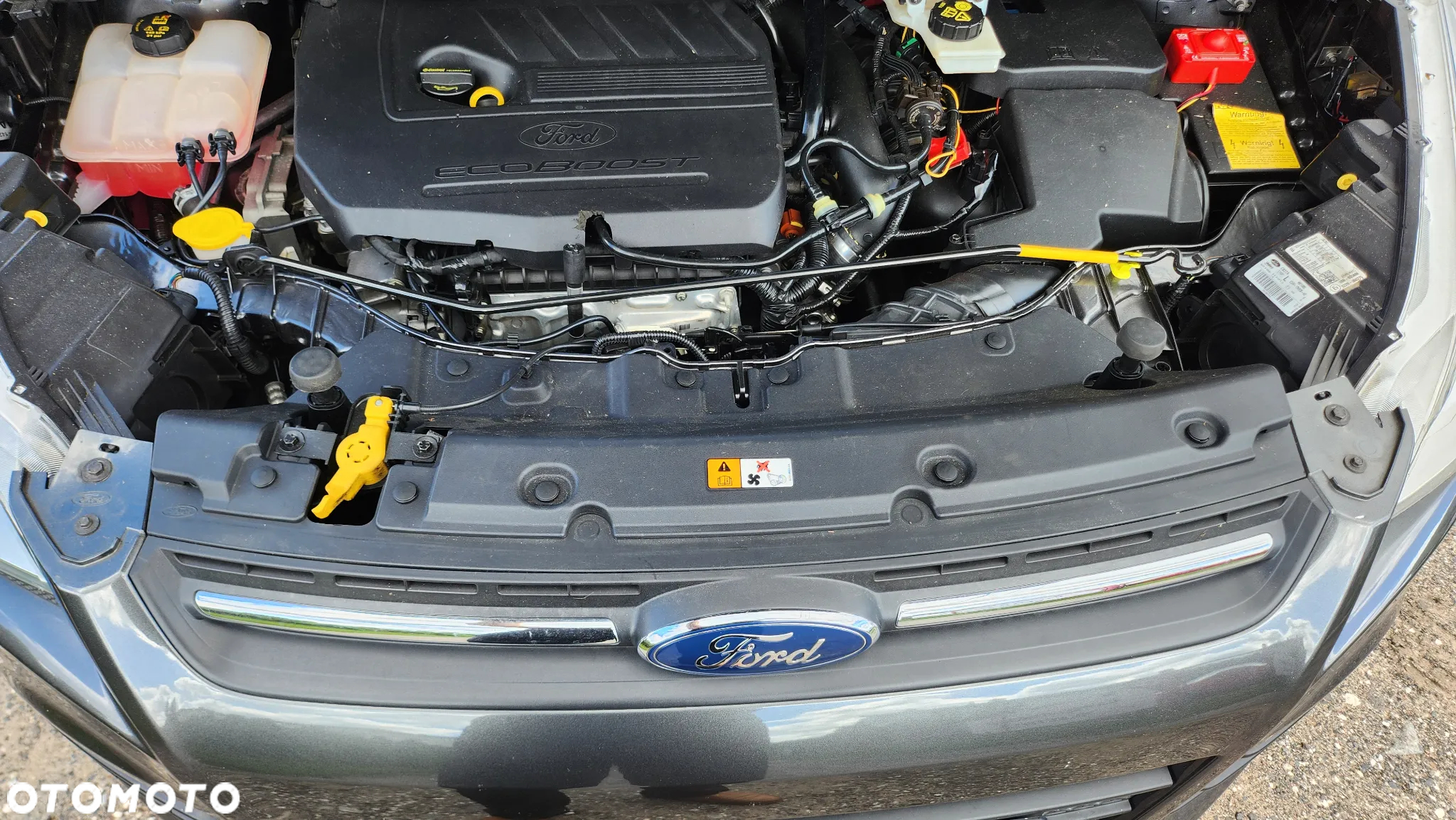 Ford Kuga 1.5 EcoBoost 2x4 Trend - 22
