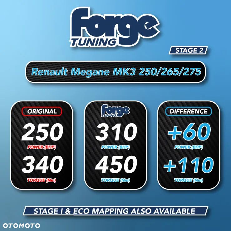 Renault Megane R.S EU6 - 1