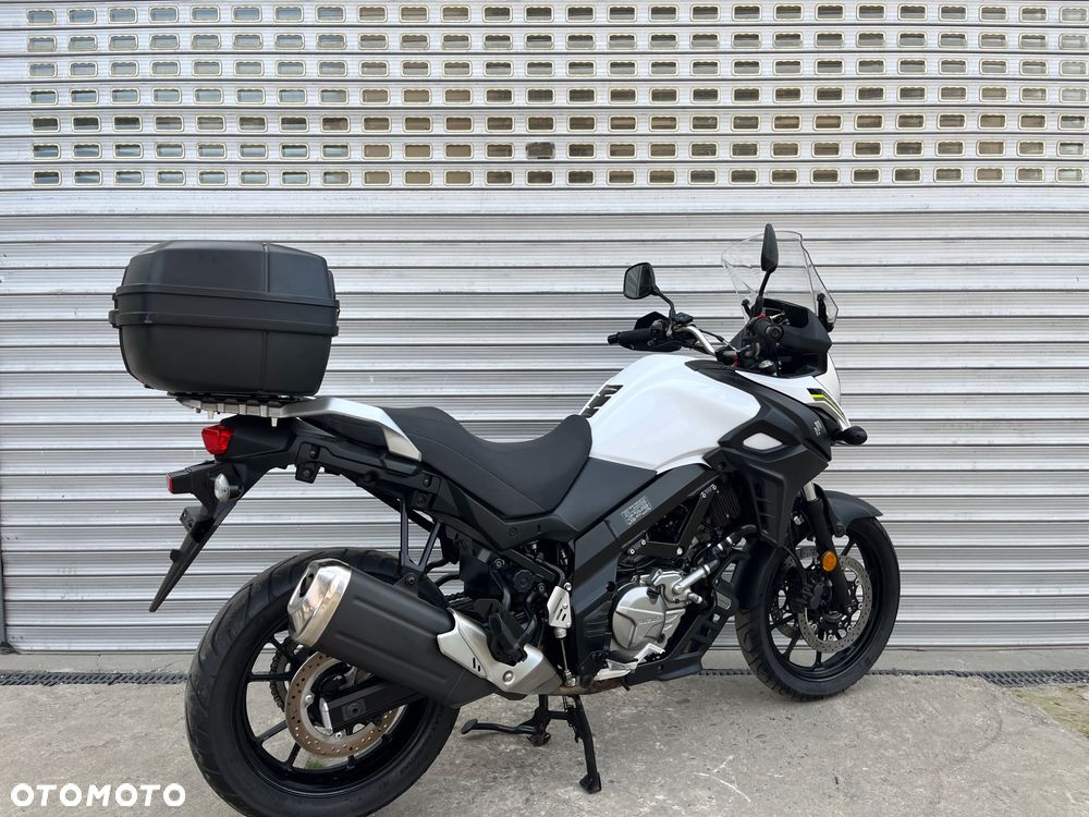 Suzuki DL - 11