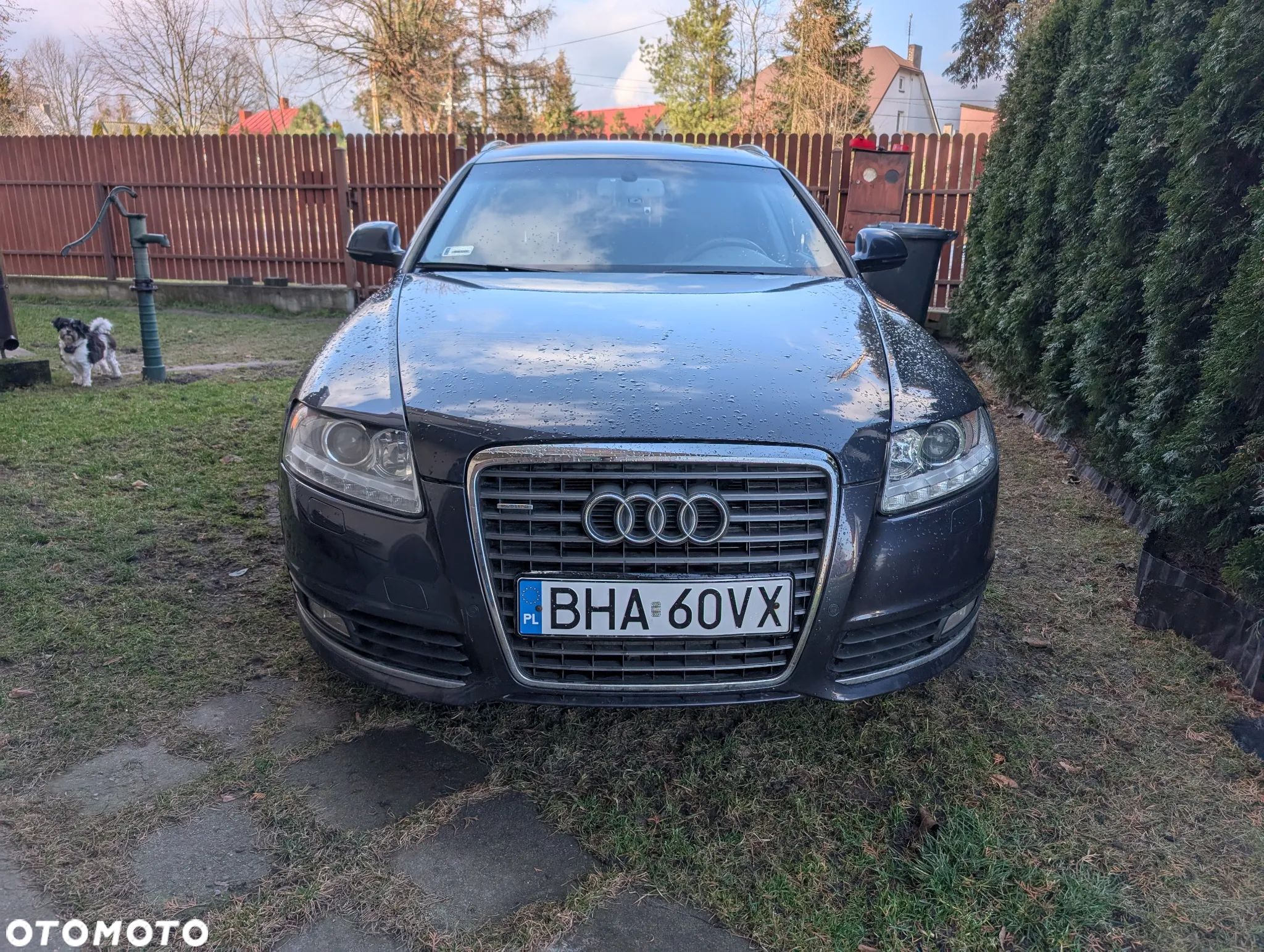 Audi A6 Avant 3.0 TDI DPF quattro tiptronic - 1