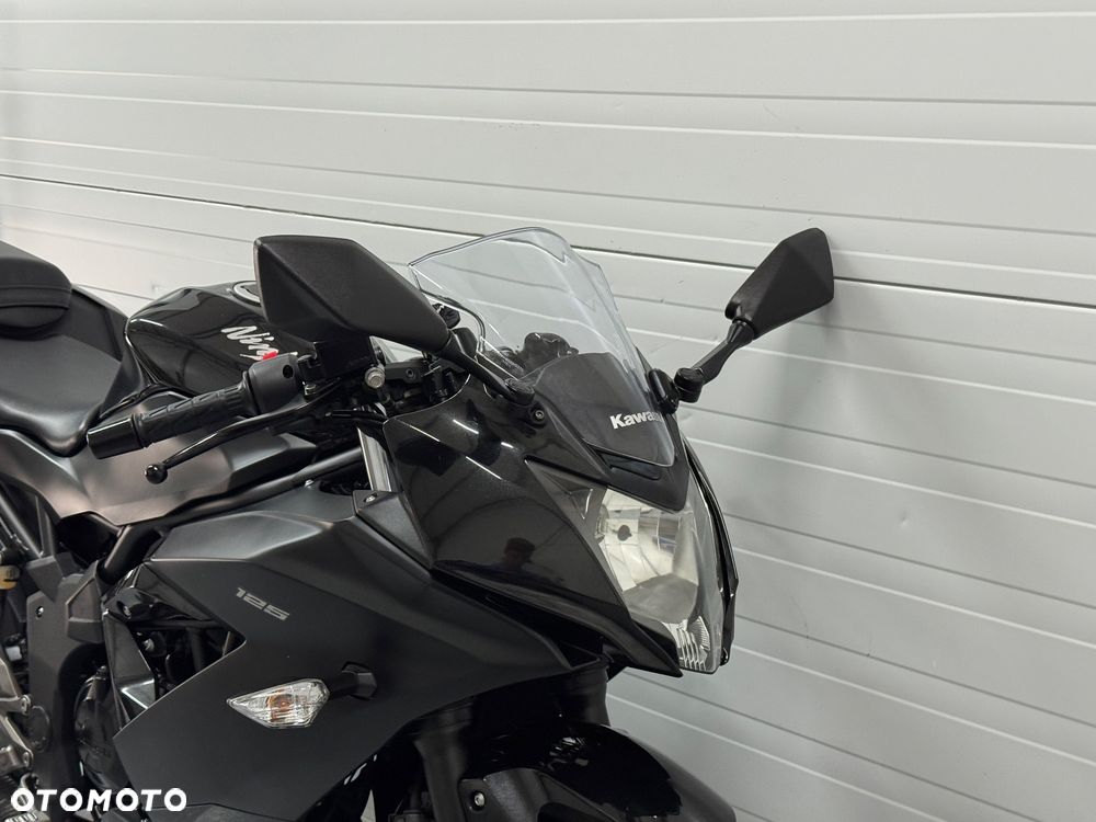 Kawasaki Ninja - 12
