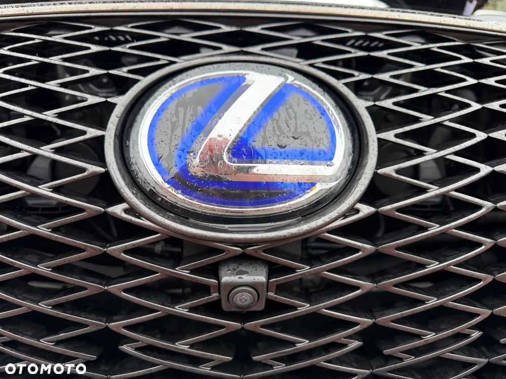 Lexus RX 450h F Sport Edition - 17