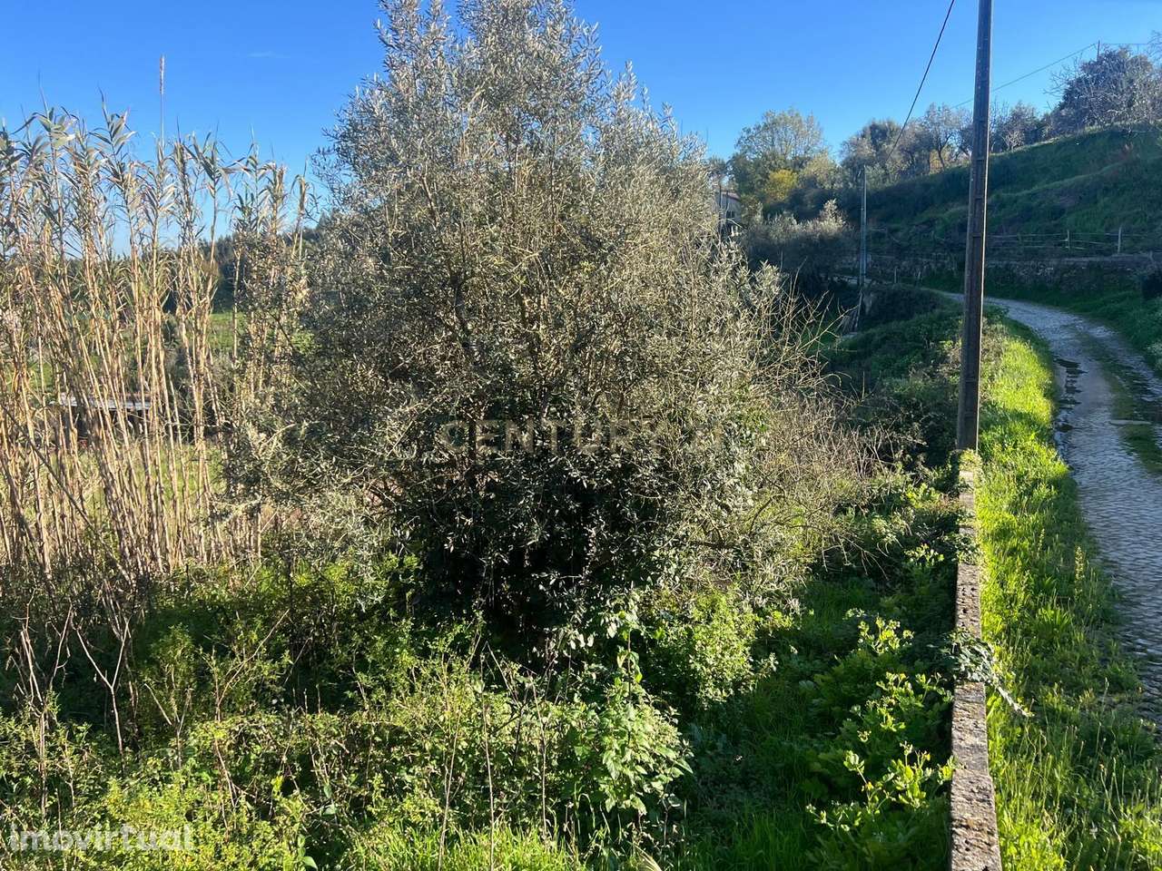 Oportunidade Única: Ruína em Figueiró dos Vinhos - Grande imagem: 3/7